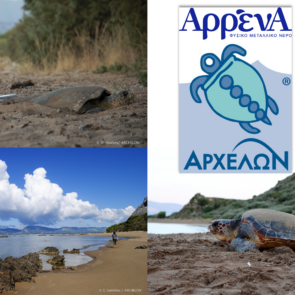 Μία φυσική συμμαχία -Το Φυσικό Μεταλλικό Νερό ΑρρένΑ δίπλα στην Caretta caretta