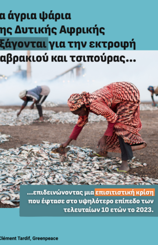 1 εκατομμύριο άνθρωποι στερούνται τροφή  λόγω της λειτουργίας των βιομηχανικών ιχθυοκαλλιεργειών στην Ελλάδα