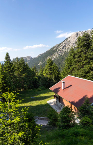 Πότε έρχεται η δεύτερη χρυσή εποχή του Elatos Resort;