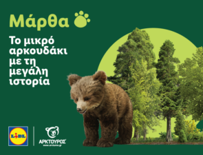 Η Lidl Ελλάς στήριξε την επιτυχή επανένταξη της Μάρθας στη φύση, σε συνεργασία με τον ΑΡΚΤΟΥΡΟ