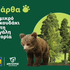 Η Lidl Ελλάς στήριξε την επιτυχή επανένταξη της Μάρθας στη φύση, σε συνεργασία με τον ΑΡΚΤΟΥΡΟ