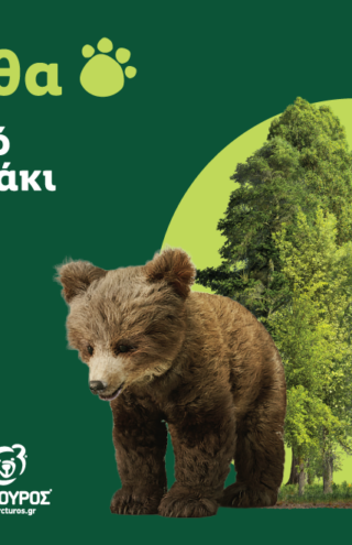 Η Lidl Ελλάς στήριξε την επιτυχή επανένταξη της Μάρθας στη φύση, σε συνεργασία με τον ΑΡΚΤΟΥΡΟ