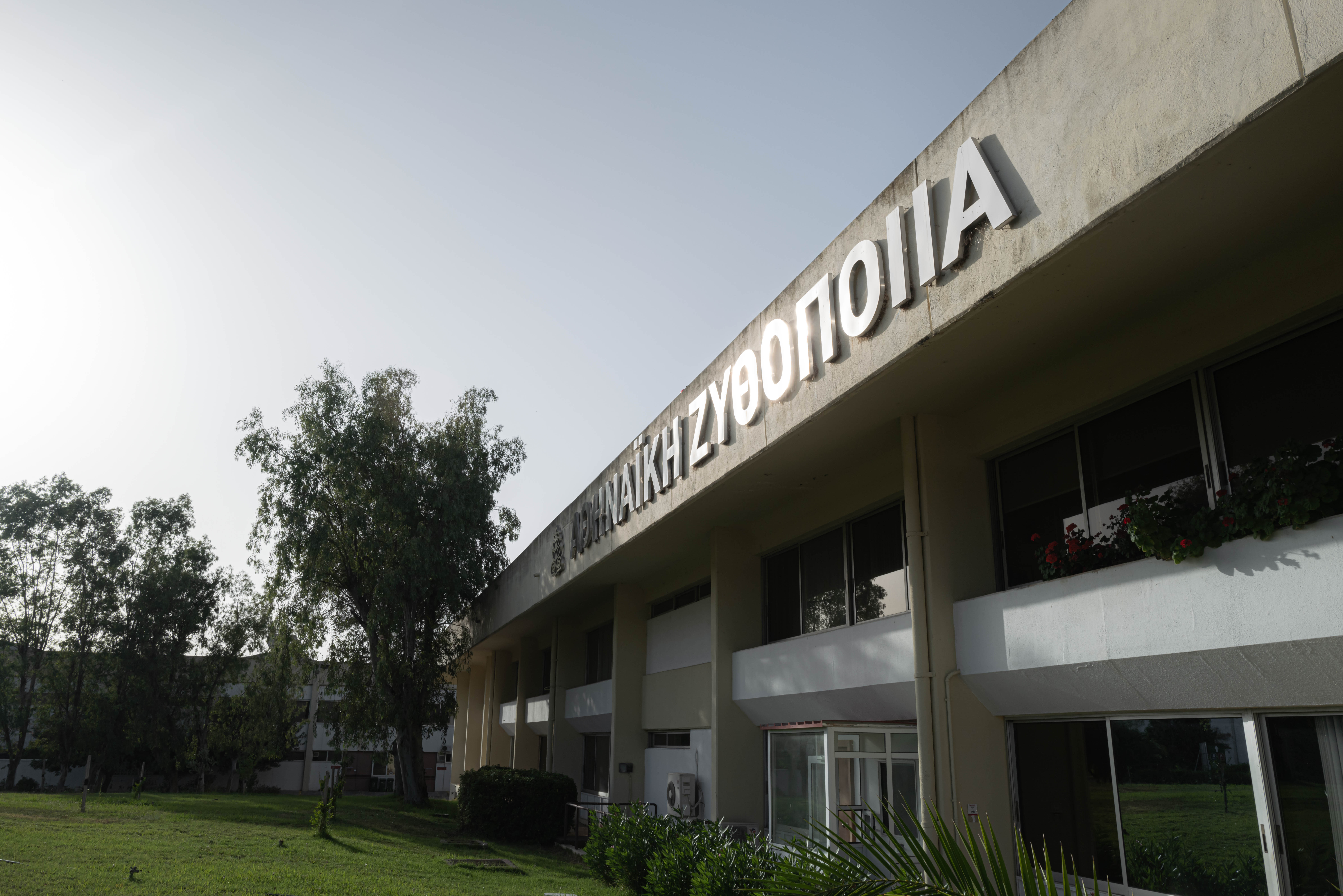 Κερδοφορία-ορόσημο για την Αθηναϊκή Ζυθοποιία