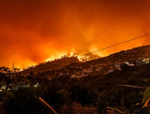 Η ασφαλιστική αγορά το 2025 διαμορφώνεται σε ένα σκηνικό έντονων αντιθέσεων