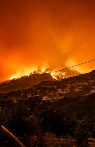 Η ασφαλιστική αγορά το 2025 διαμορφώνεται σε ένα σκηνικό έντονων αντιθέσεων