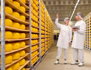 Πιέσεις με διαδοχικές ζημίες για τη FrieslandCampina στην Ελλάδα