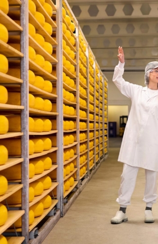 Πιέσεις με διαδοχικές ζημίες για τη FrieslandCampina στην Ελλάδα