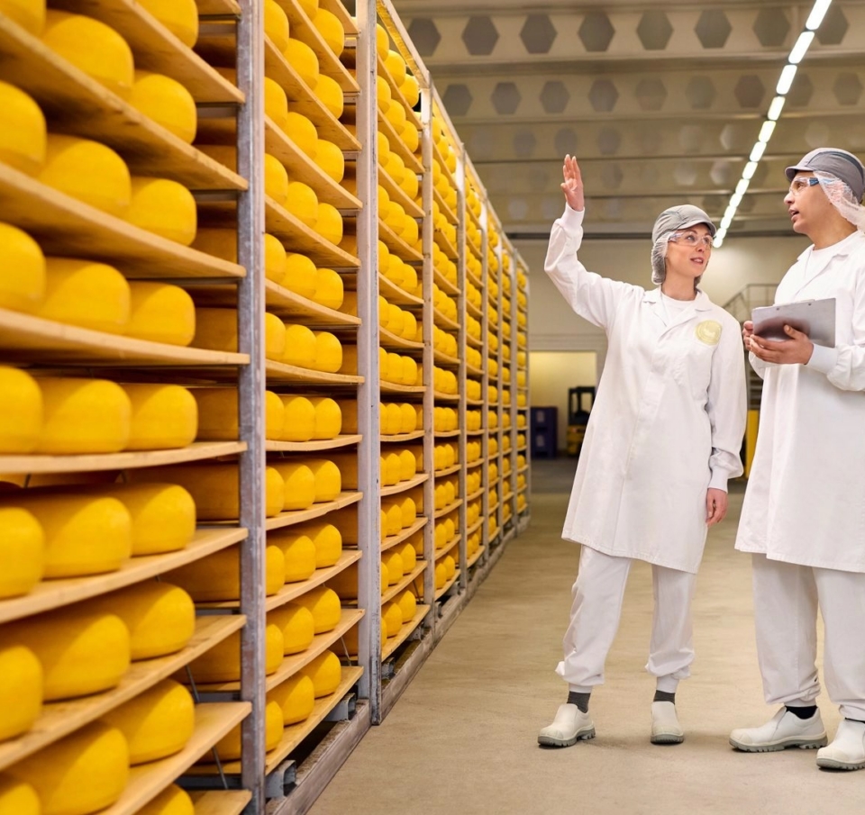 Πιέσεις με διαδοχικές ζημίες για τη FrieslandCampina στην Ελλάδα