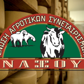 ΕΑΣ Νάξου: Από την τυροκόμηση μικρών ποσοτήτων γάλακτος σε μοχλό ανάπτυξης για το νησί