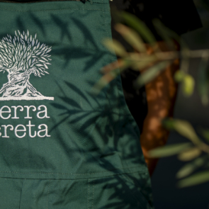 Terra Creta: Ένα ταξίδι στο ποιοτικό εξαιρετικό παρθένο ελαιόλαδο