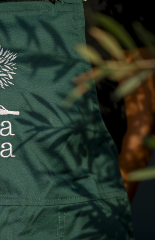 Terra Creta: Ένα ταξίδι στο αυθεντικό εξαιρετικό παρθένο ελαιόλαδο