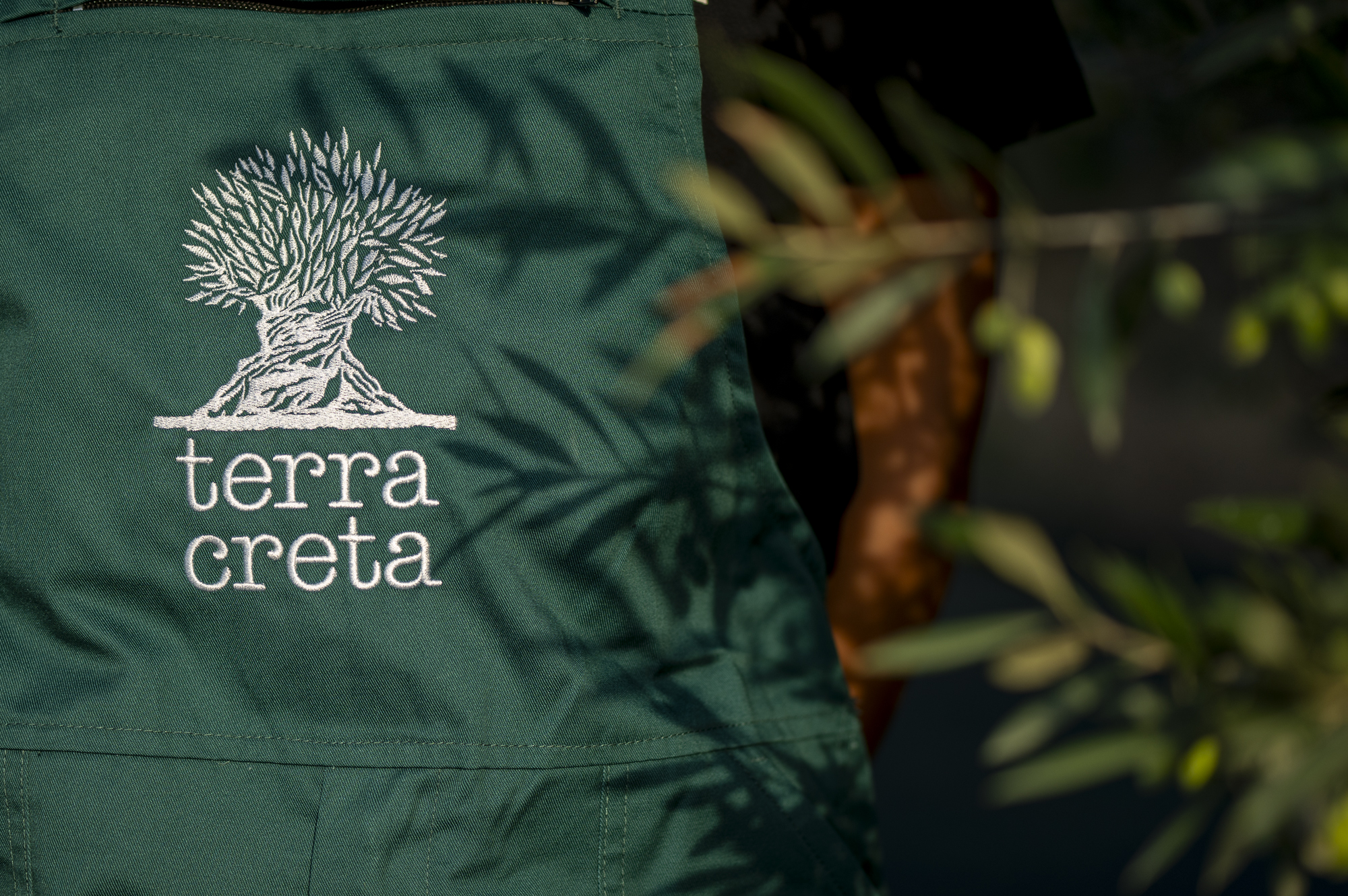Terra Creta: Ένα ταξίδι στο αυθεντικό εξαιρετικό παρθένο ελαιόλαδο