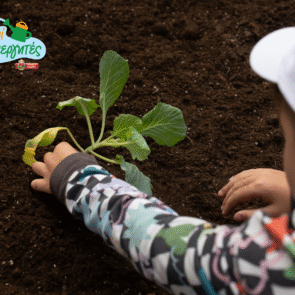 ΜΠΑΡΜΠΑ ΣΤΑΘΗΣ: Παρουσίαση του νέου εκπαιδευτικού προγράμματος «Μικροί Καλλιεργητές»