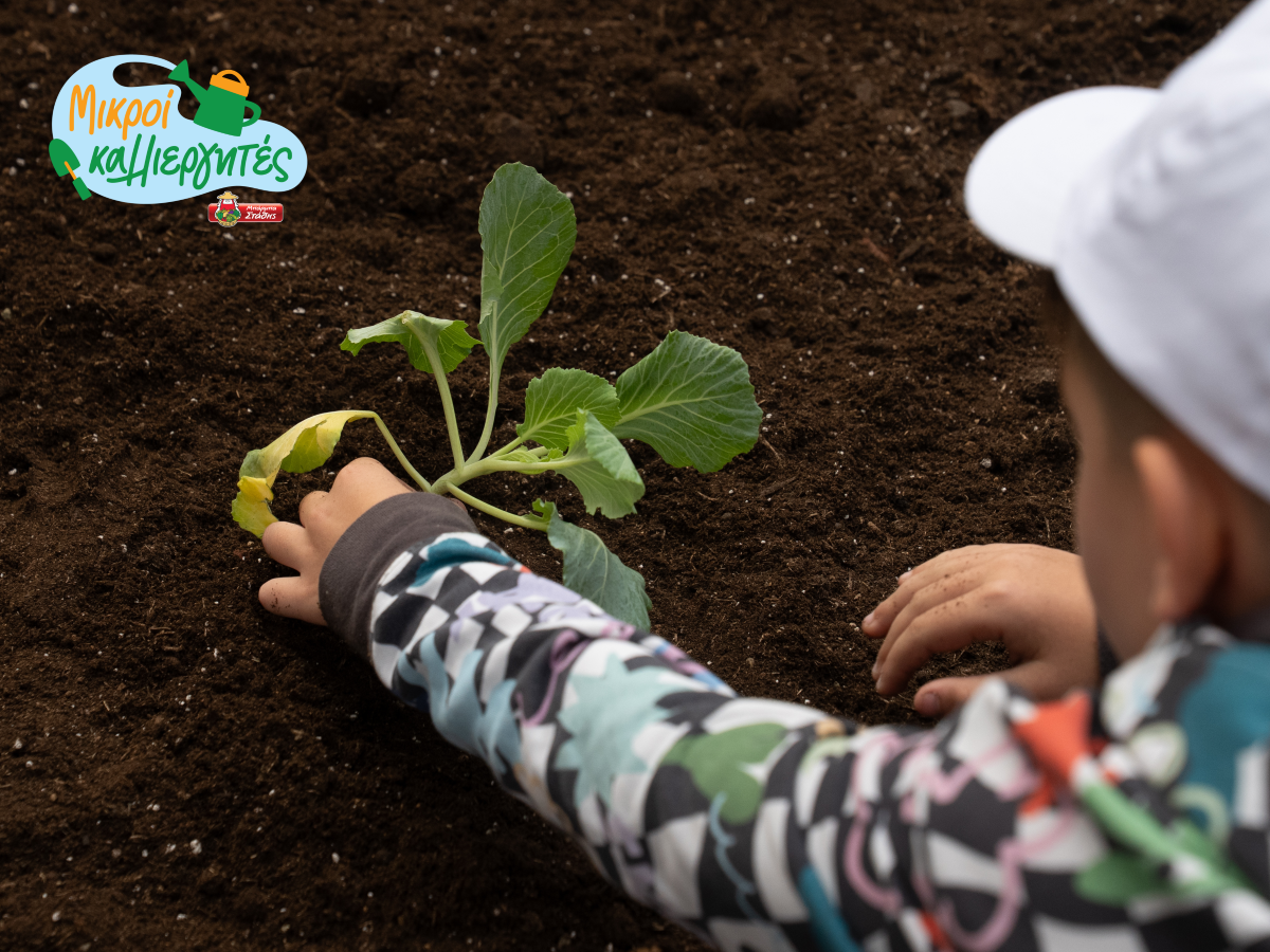 ΜΠΑΡΜΠΑ ΣΤΑΘΗΣ: Παρουσίαση του νέου εκπαιδευτικού προγράμματος «Μικροί Καλλιεργητές»