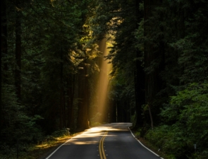 Ελληνικές «green» startups: Όταν η καινοτομία και το ΑΙ συναντούν τη πράσινη ανάπτυξη