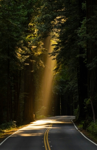 Ελληνικές «green» startups: Όταν η καινοτομία και το ΑΙ συναντούν τη πράσινη ανάπτυξη