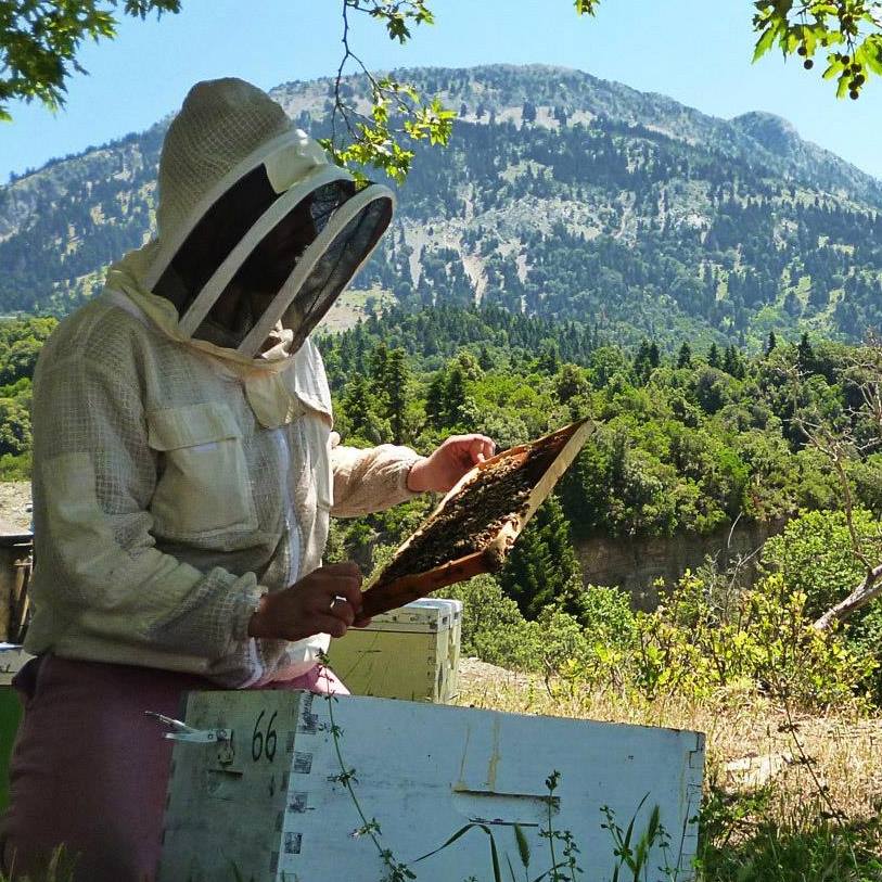 Ένας νομάς μελισσοκόμος που εγκατέλειψε την Αθήνα για την Άρτα