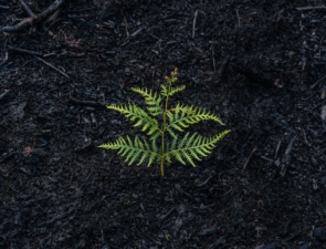 Παπαστράτος: Βιομηχανία με περιβαλλοντικό αποτύπωμα ευθύνης