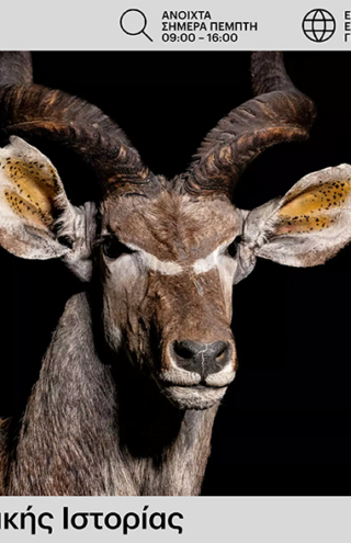 Νέο website για το Εθνικό Μουσείο Φυσικής Ιστορίας Γουλανδρή από την Κ2