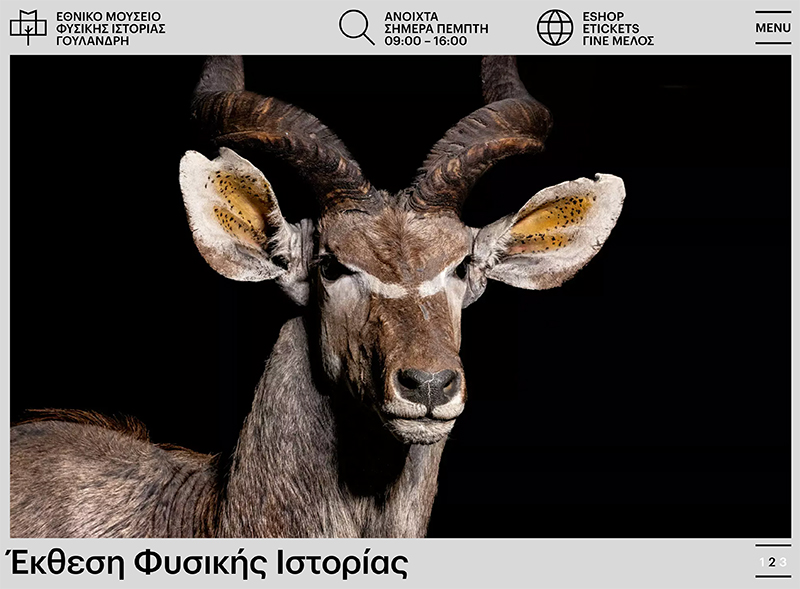 Νέο website για το Εθνικό Μουσείο Φυσικής Ιστορίας Γουλανδρή από την Κ2