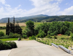 Ο οινοποιός Κώστας Γκόφας και η προσήλωση στις εκφράσεις του Αγιωργίτικου της Νεμέας