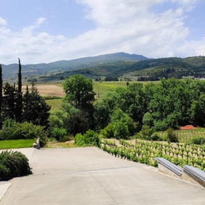 Ο οινοποιός Κώστας Γκόφας και η προσήλωση στις εκφράσεις του Αγιωργίτικου της Νεμέας