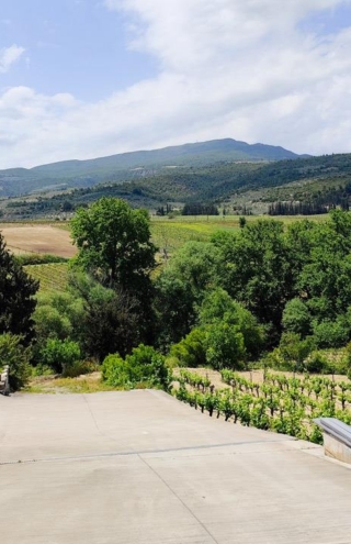 Ο οινοποιός Κώστας Γκόφας και η προσήλωση στις εκφράσεις του Αγιωργίτικου της Νεμέας