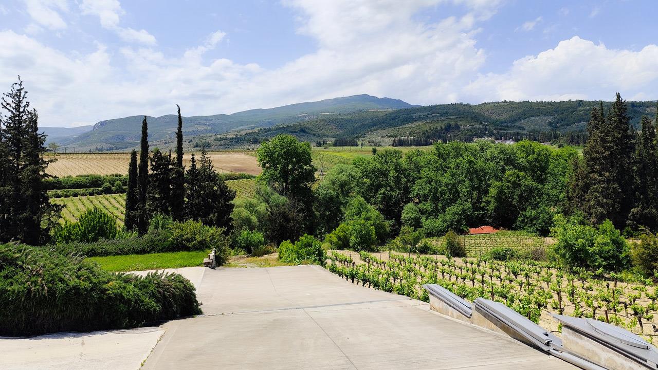 Ο οινοποιός Κώστας Γκόφας και η προσήλωση στις εκφράσεις του Αγιωργίτικου της Νεμέας