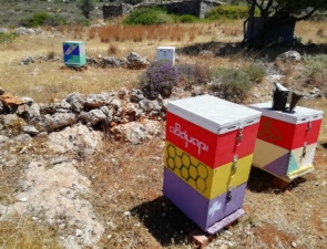 Η οικογενειακή μελισσοκομία των Κυθήρων: Μια ζωή αφιερωμένη στο μέλι, τη φύση και τις αξίες του τόπου