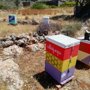 Η οικογενειακή μελισσοκομία των Κυθήρων: Μια ζωή αφιερωμένη στο μέλι, τη φύση και τις αξίες του τόπου