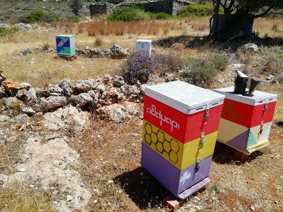 Η οικογενειακή μελισσοκομία των Κυθήρων: Μια ζωή αφιερωμένη στο μέλι, τη φύση και τις αξίες του τόπου