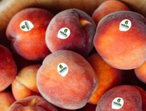 ΑΣΕΠΟΠ Βελβεντού: Παράδειγμα συνεταιρισμού με επενδύσεις, εξωστρέφεια και brands που «γράφουν» στις αγορές