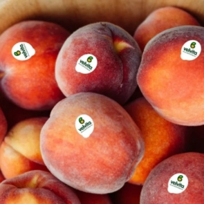 ΑΣΕΠΟΠ Βελβεντού: Παράδειγμα συνεταιρισμού με επενδύσεις, εξωστρέφεια και brands που «γράφουν» στις αγορές