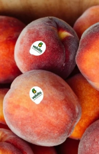 ΑΣΕΠΟΠ Βελβεντού: Παράδειγμα συνεταιρισμού με επενδύσεις, εξωστρέφεια και brands που «γράφουν» στις αγορές