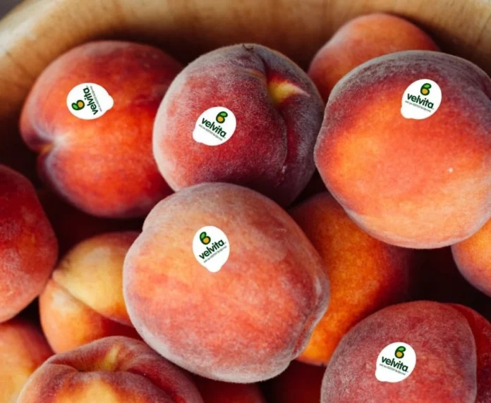 ΑΣΕΠΟΠ Βελβεντού: Παράδειγμα συνεταιρισμού με επενδύσεις, εξωστρέφεια και brands που «γράφουν» στις αγορές