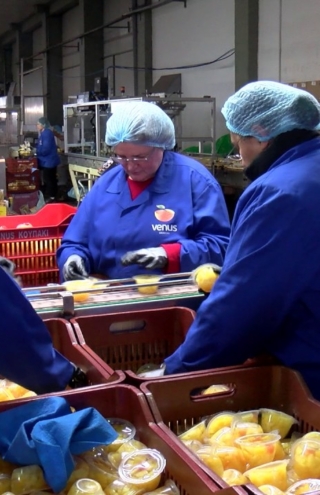 Venus Growers: Ο εξωστρεφής συνεταιρισμός με εξαγωγικό εκτόπισμα και μοντέλο ιδιωτικής επιχείρησης