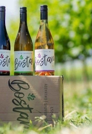 Amoenos Vineyards: Το νέο οινοποιείο του Αμυνταίου που ενώνει τη βιωσιμότητα με την παράδοση